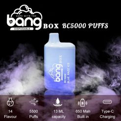 Bang BC5000 BOX VAPE Partihandel