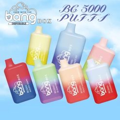 Bang VAPE BC5000 BOX VAPE VARUHANDEL