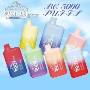 Bang VAPE BC5000 BOX VAPE WHOLESALE