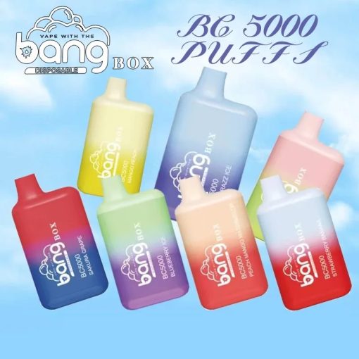 Bang VAPE BC5000 BOX VAPE VARUHANDEL
