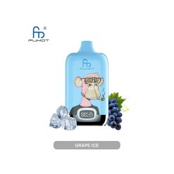 Fumot Digital 12000 Einweg Vape Großhandel Traubeneis