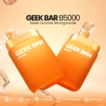 Geek Bar B5000 Jednorázový velkoobchodní přehled Vape.webp