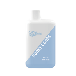 Funky Ci5000 jednorazowy Vape MintRose