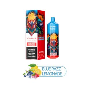 Vapme Fire 9000 Puffs Disposable Vape Wholesale Blue Razz Lemonade