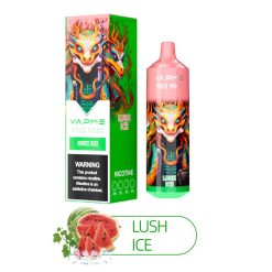 Vapme Fire 9000 Puffs Jednorazowe Vape Hurtownia Lush Ice