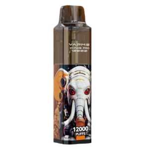Vapme King Pro 12000 Puffs za enkratno uporabo Vape na debelo Bigbang sadje