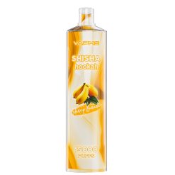 Vapme Shisha Hookah 15000 Puffs Engångs Vape grossist (1)