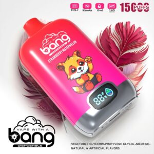 Bang 15000 Disposable Vape Wholesale (2)