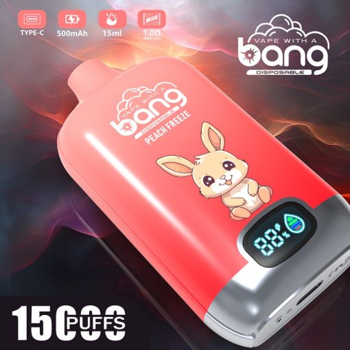 Bang 15000 Disposable Vape Wholesale (4)