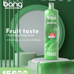 Bang Shisha 15000 Puffs Disposable Vape Wholesale (1)