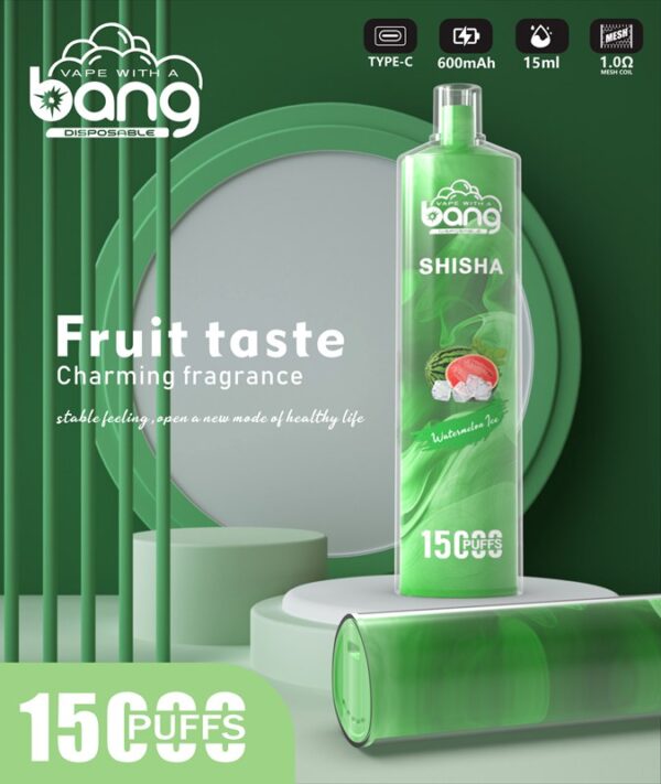 Bang Shisha 15000 Puffs Disposable Vape Wholesale (1)