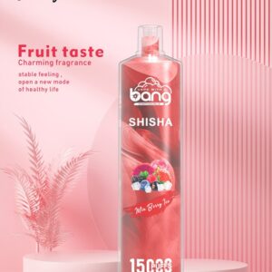 Bang Shisha 15000 Puffs Disposable Vape Wholesale (2)