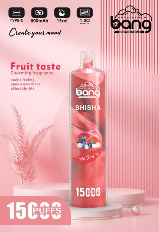 Bang Shisha 15000 Puffs Einweg Vape Großhandel (2)