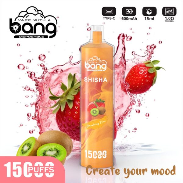 Bang Shisha 15000 Puffs Disposable Vape Wholesale (4)