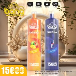 Bang Shisha 15000 Puffs Einweg Vape Großhandel (5)