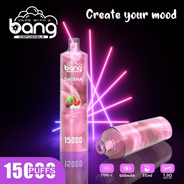 Bang Shisha 15000 Puffs Disposable Vape Wholesale (6)