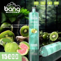 Bang Shisha 15000 Puffs Einweg Vape Großhandel (7)