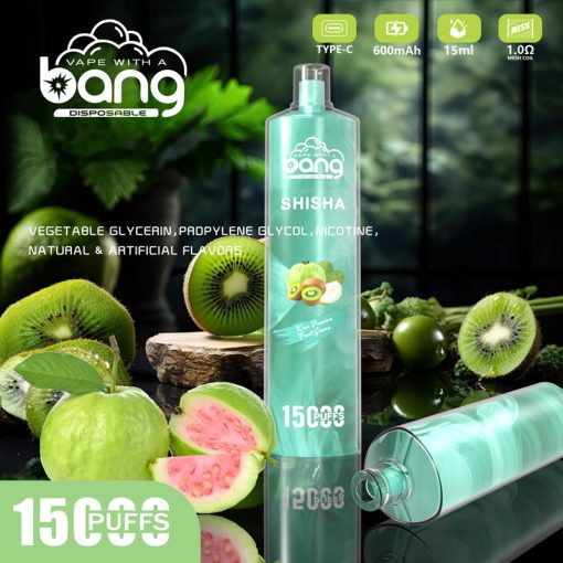 Bang Shisha 15000 Puffs Einweg Vape Großhandel (7)