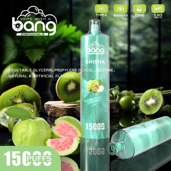 Bang Shisha 15000 Puffs Disposable Vape Wholesale (7)