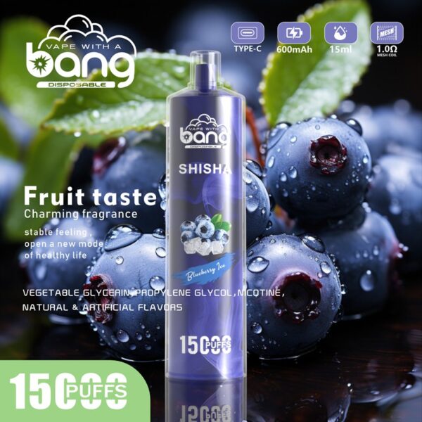 Bang Shisha 15000 Puffs Disposable Vape Wholesale (8)