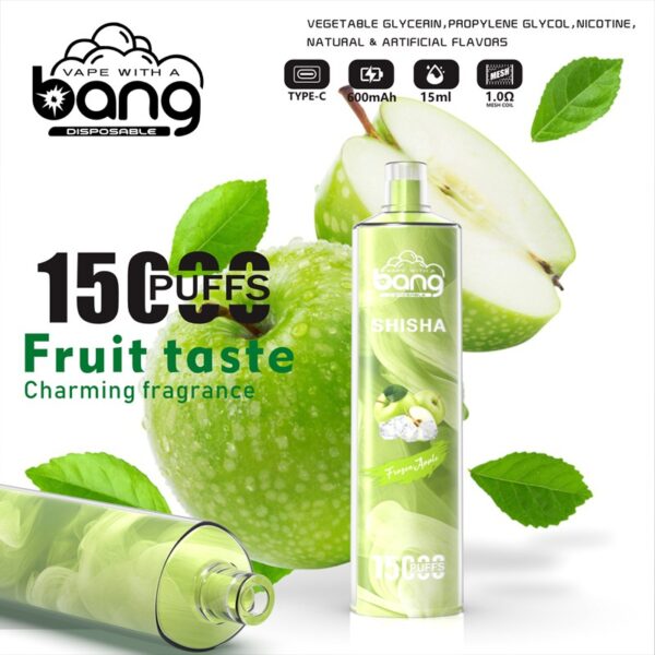 Bang Shisha 15000 Puffs Disposable Vape Wholesale (9)