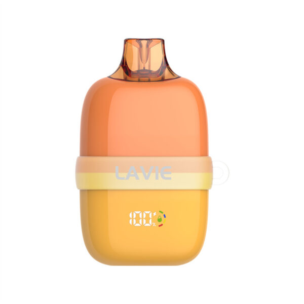 LAVIE INSIDER 12000 Puffs Disposable Vape Wholesale Mango Ice