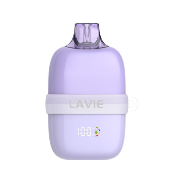 LAVIE INSIDER 12000 Puffs Disposable Vape Wholesale Mojito