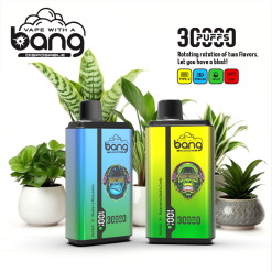Bnag 30000 Puffs Wegwerp Vape Groothandel (1)