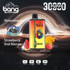 Bnag 30000 Puffs Wegwerp Vape Groothandel (3)