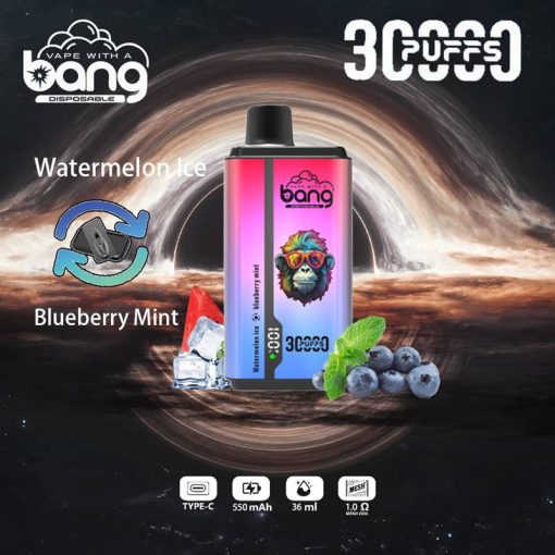 Bnag 30000 Puffs Wegwerp Vape Groothandel (6)
