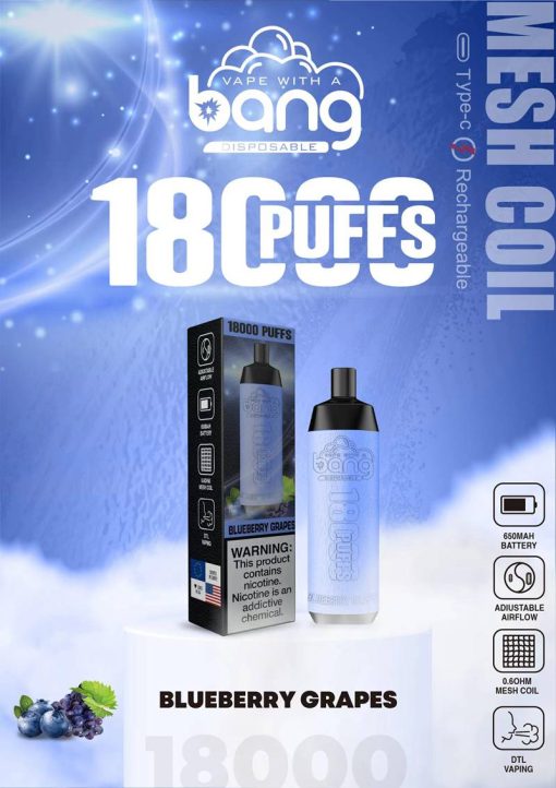Bang Crown Bar 18000 Puffs Shisha Engångs Vape Partihandel (14)