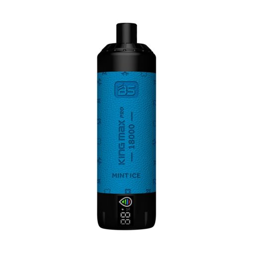 Breze Stiik King Max Pro 18000 Puffs DTL Einweg Vape Großhandel MINT ICE