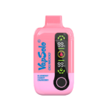 Vapsolo DG18000 Disposable Vape Wholesale blueberry cherry cranberr