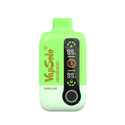 Vapsolo DG18000 Disposable Vape Wholesale lemon lime