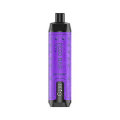 Vapsolo Feed Bar Shisha 15000 Einweg Vape Großhandel GRAPE MINT