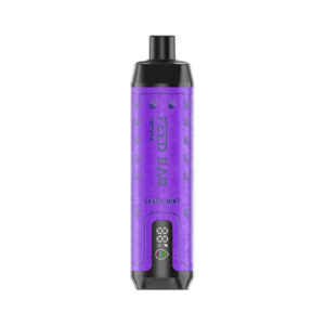 Vapsolo Feed Bar Shisha 15000 Vape jetable Wholesale GRAPE MINT