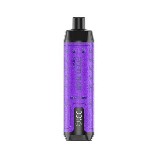 Vapsolo Feed Bar Shisha 15000 Disposable Vape Wholesale GRAPE MINT