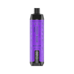 Vapsolo Feed Bar Shisha 15000 Disposable Vape Wholesale MAGIC LOVE