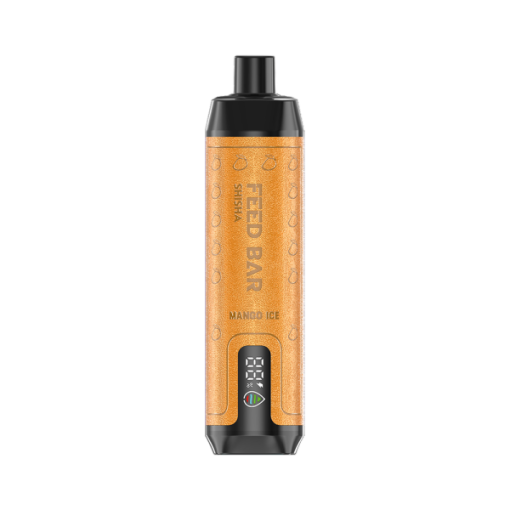 Vapsolo Feed Bar Shisha 15000 Disposable Vape Wholesale MANGO ICE