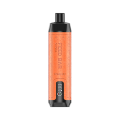 Vapsolo Feed Bar Shisha 15000 Disposable Vape Wholesale PEACH ICE