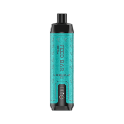 Vapsolo Feed Bar Shisha 15000 Disposable Vape Wholesale black currant ice