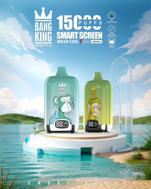 Bang King Pantalla Inteligente 15000 Puffs Vape Desechable 11
