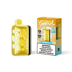 Vozol Rave 40000 Puffs Wegwerp Vape Mango Ijs