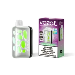 Vozol Rave 40000 Puffs Wegwerp Vape Perzik Framboos Limonade
