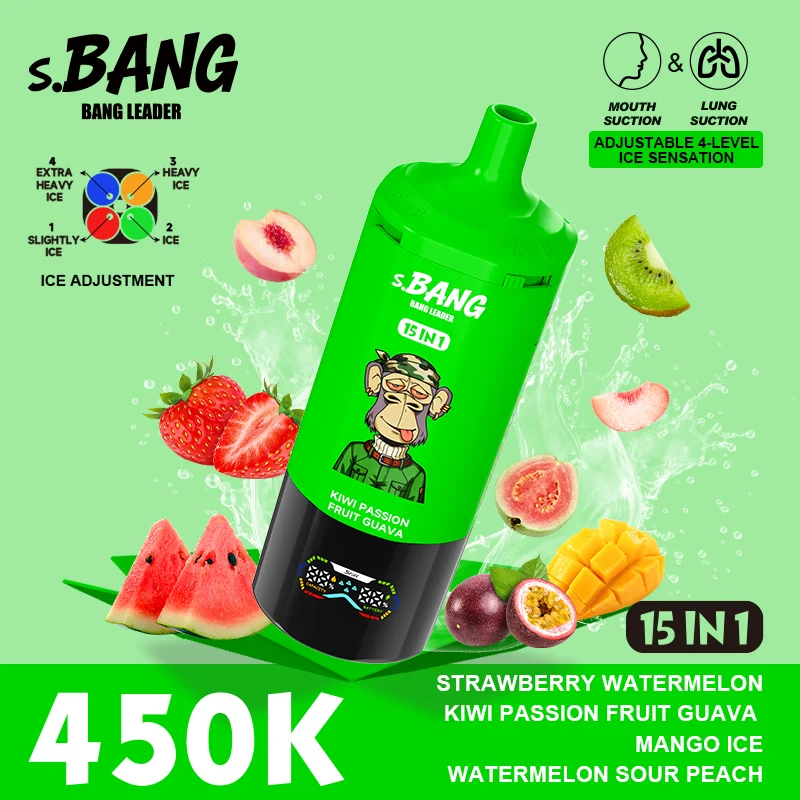 Bang Leader 15in1 450K Disposable Vape Wholesale 10