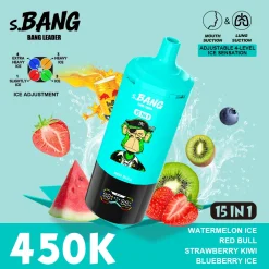 Bang Leader 15in1 450K Disposable Vape Wholesale 13