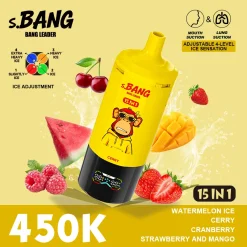 Bang Leader 15in1 450K Disposable Vape Wholesale 15