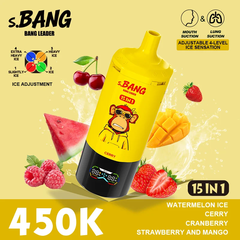 Bang Leader 15in1 450K Disposable Vape Wholesale 15