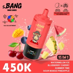 Bang Leader 15in1 450K Disposable Vape Wholesale 6