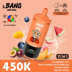 Bang Leader 15in1 450K Disposable Vape Wholesale 7